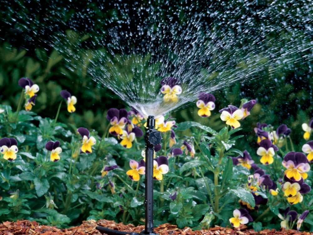 Rain Bird JET SPIKE Microsprinkler, Sprüher einsteck, 0-130l/h /  (Ausführung) Sprühradius 180° (blau-rot) - AquaTeam-Shop ∣ Die  professionelle Gartenbewässerung.