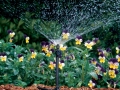 Bild 1 von Rain Bird JET SPIKE Microsprinkler, Sprüher einsteck, 0-130l/h