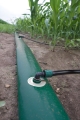 Bild 4 von Irritec FLEXIFLAT PE, Lay-Flat, PE-Gewebeschlauch mit Abgängen, Flachschlauch, 1.5 bar  / (Durchmesser) 4